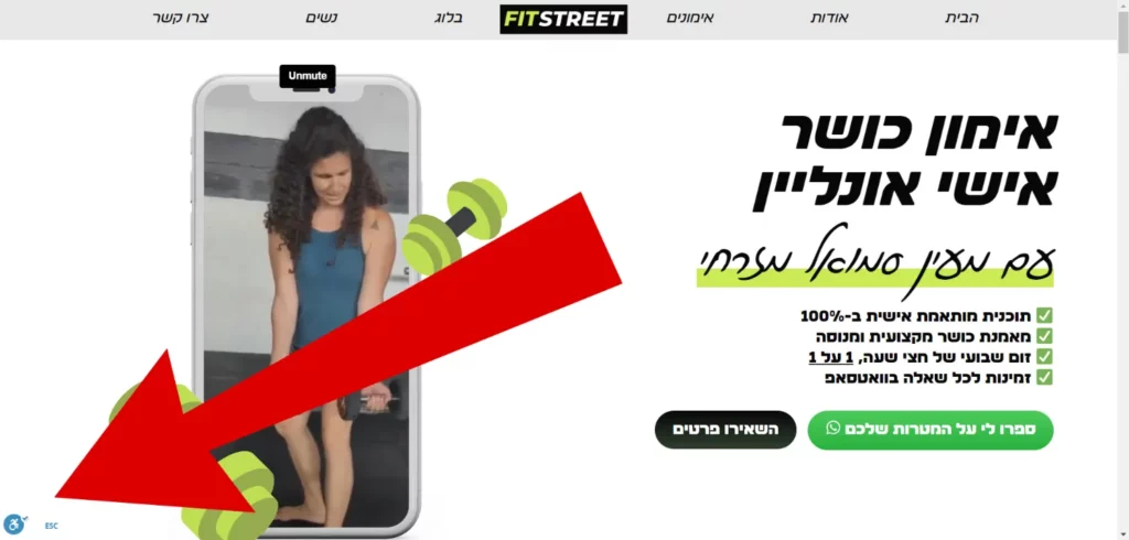 היכן ממוקם תוסף הנגישות באתר